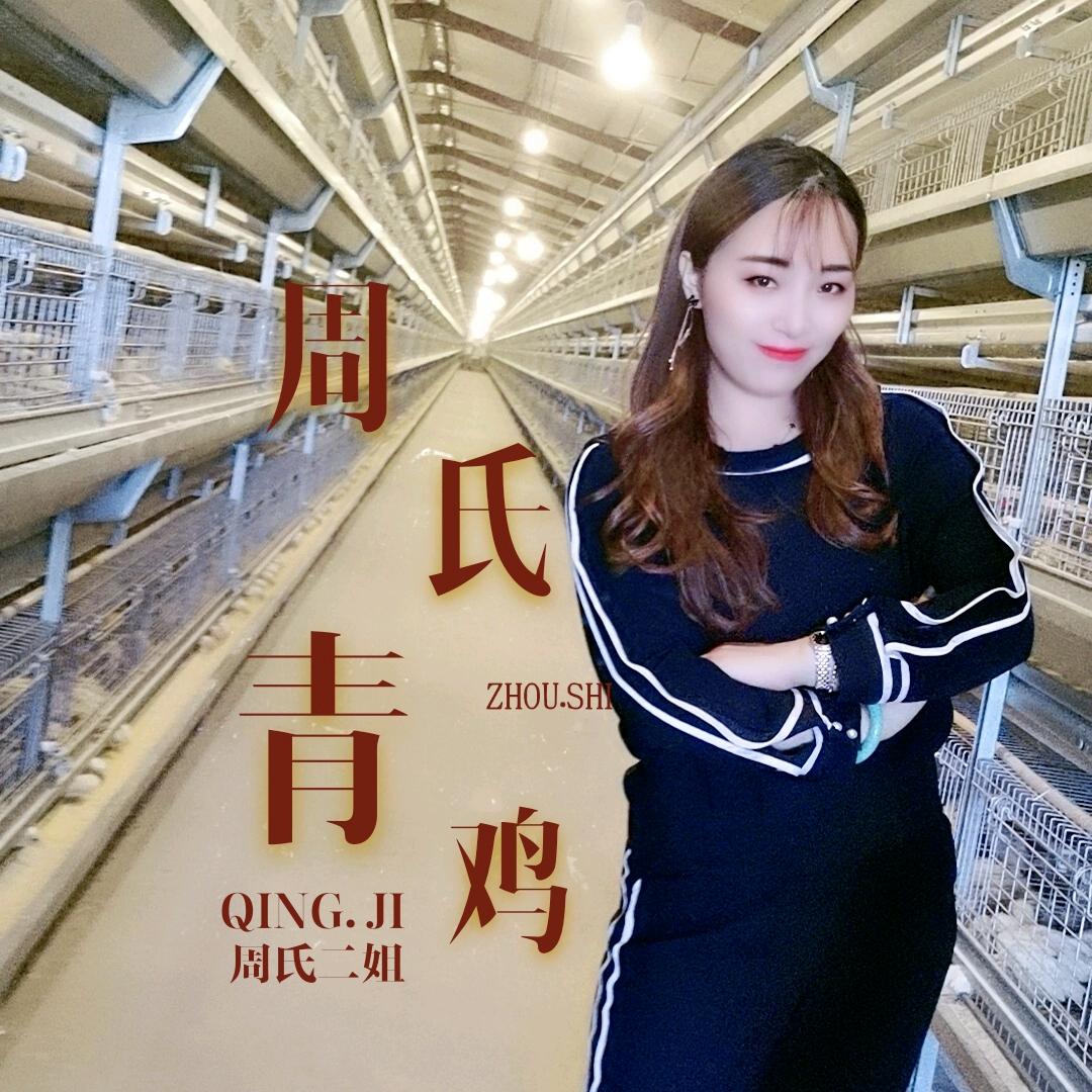 泊头市周氏蛋鸡养殖专业合作社