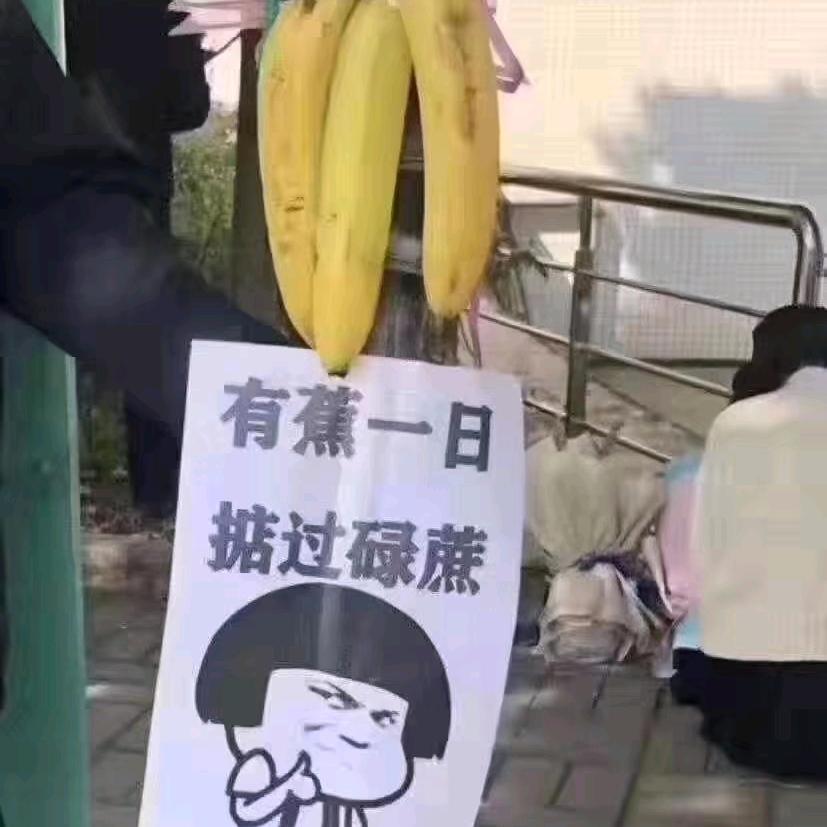 高城杰哥