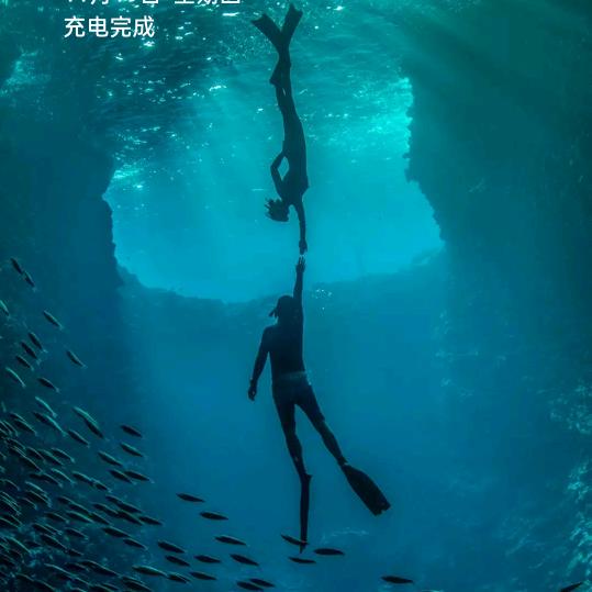 🌈🌈🌈没有名字!