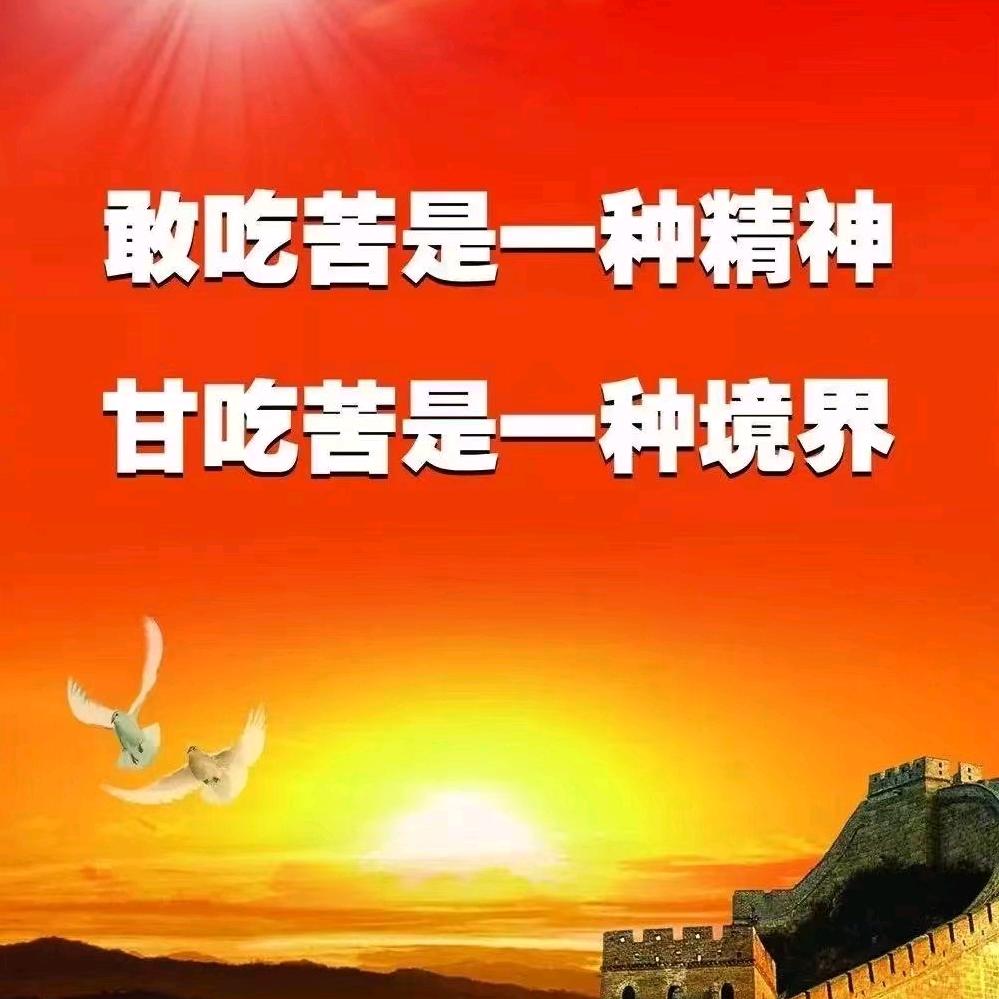小陈同志