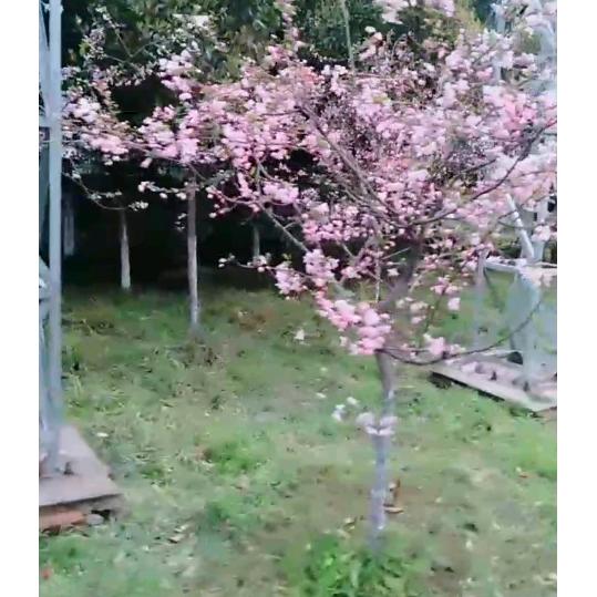 暖心