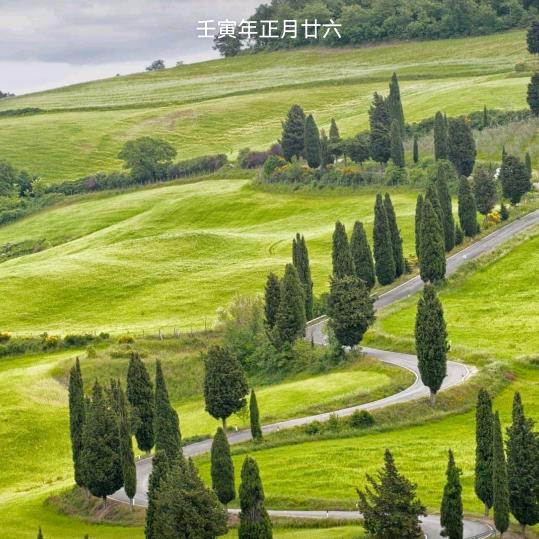 宇泽奶奶