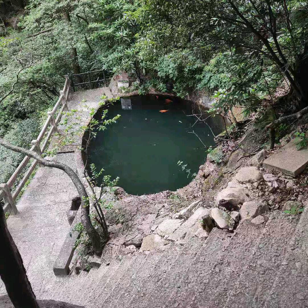 快乐每一天(๑•̀㉨•́ฅ✧ 早