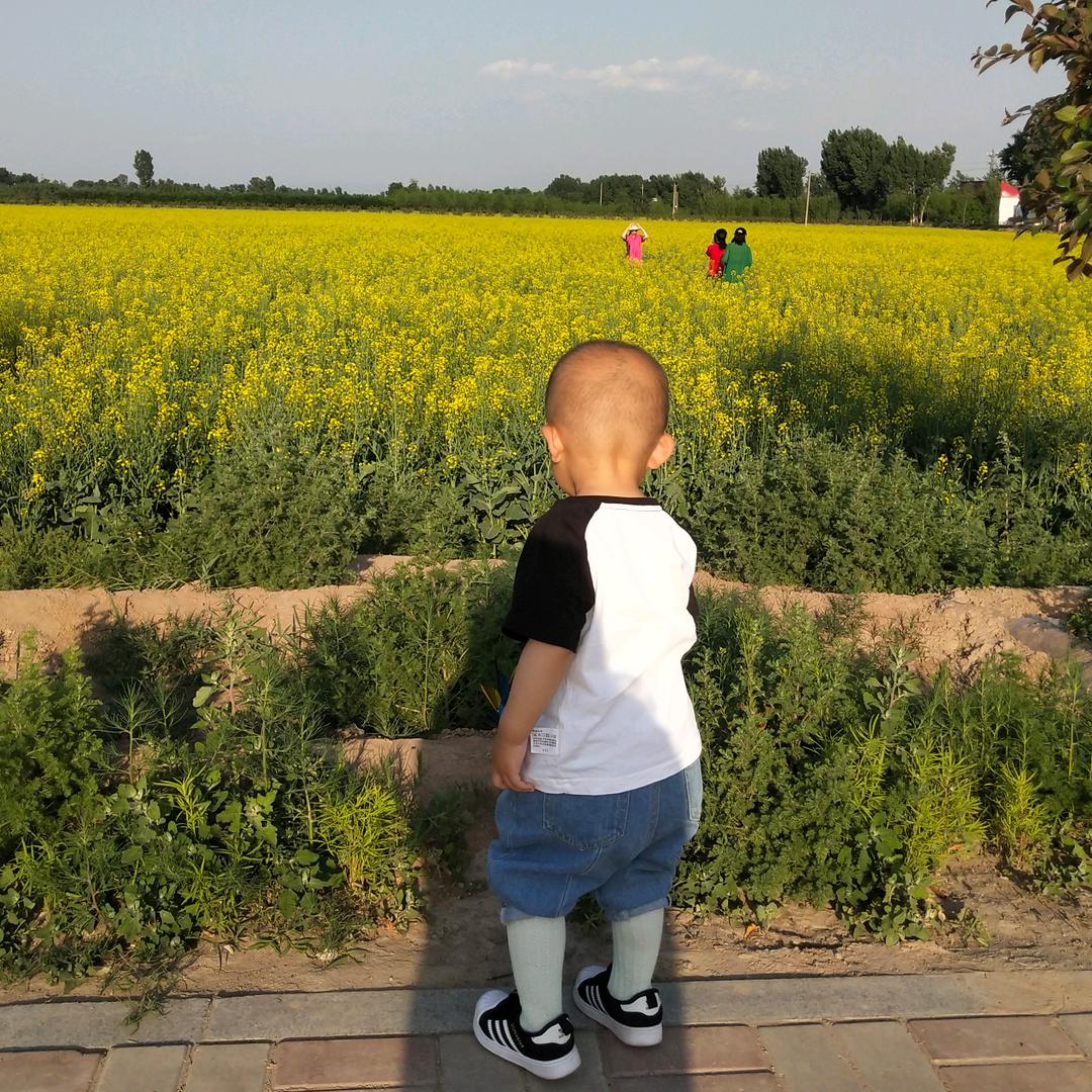 蕊妹儿
