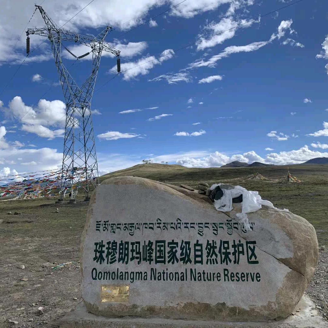 刘阁