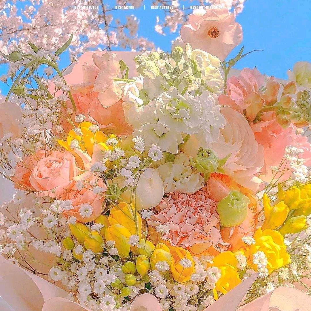 @人生若只是初见