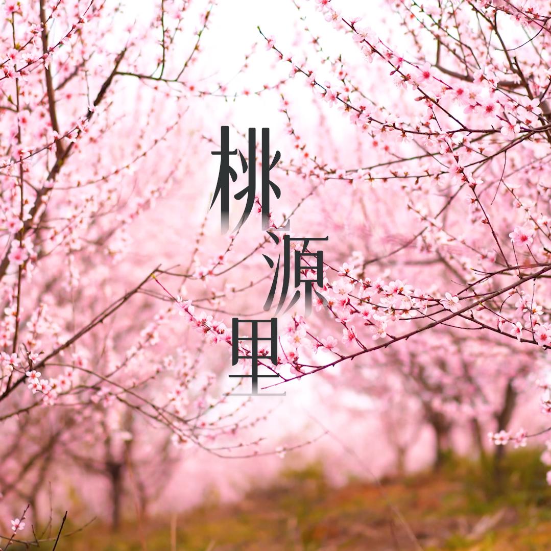 桃源里