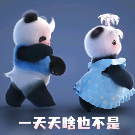 一枝玫瑰🌹