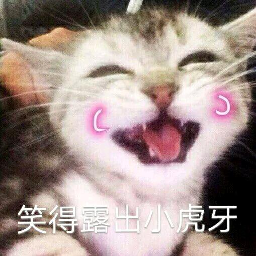 এ⁵²º᭄迷人的烟味এ头像