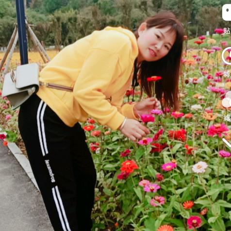 花样年华