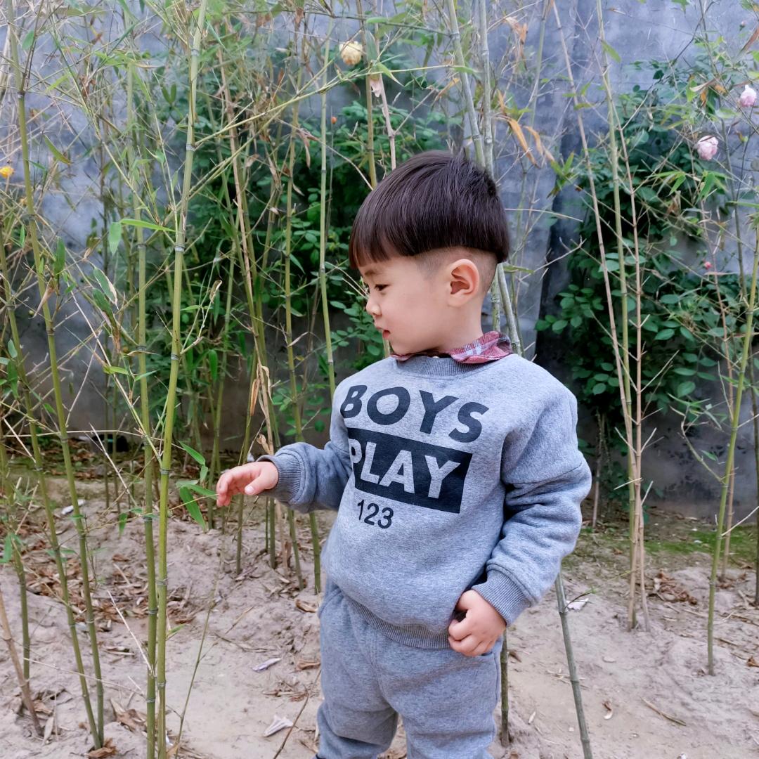 爱吃白萝卜的兔子