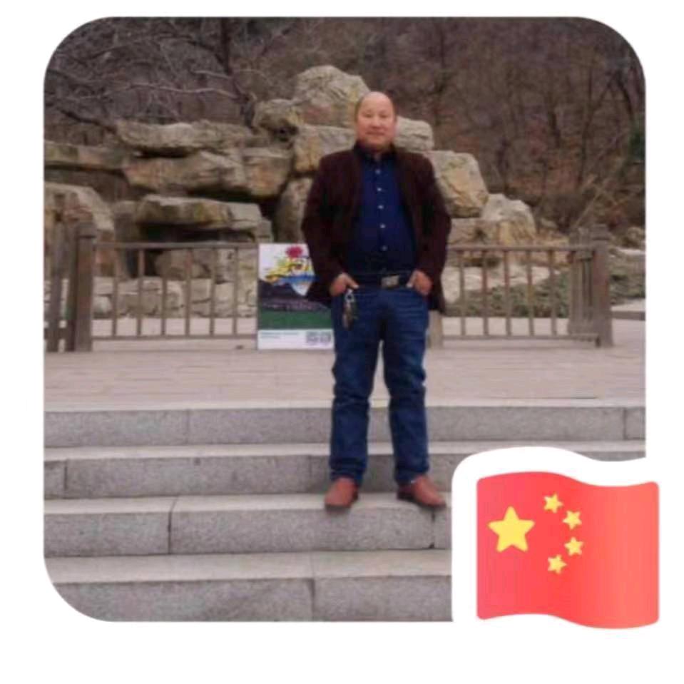 张立峰《金辰鸽业》