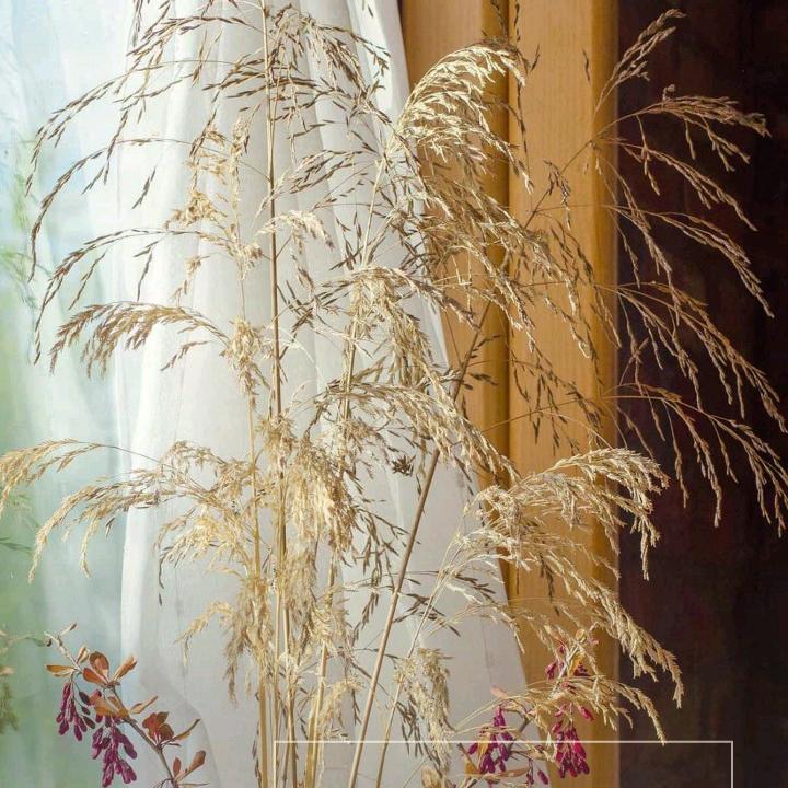 兜里🈶米(♡>𖥦<)/♥