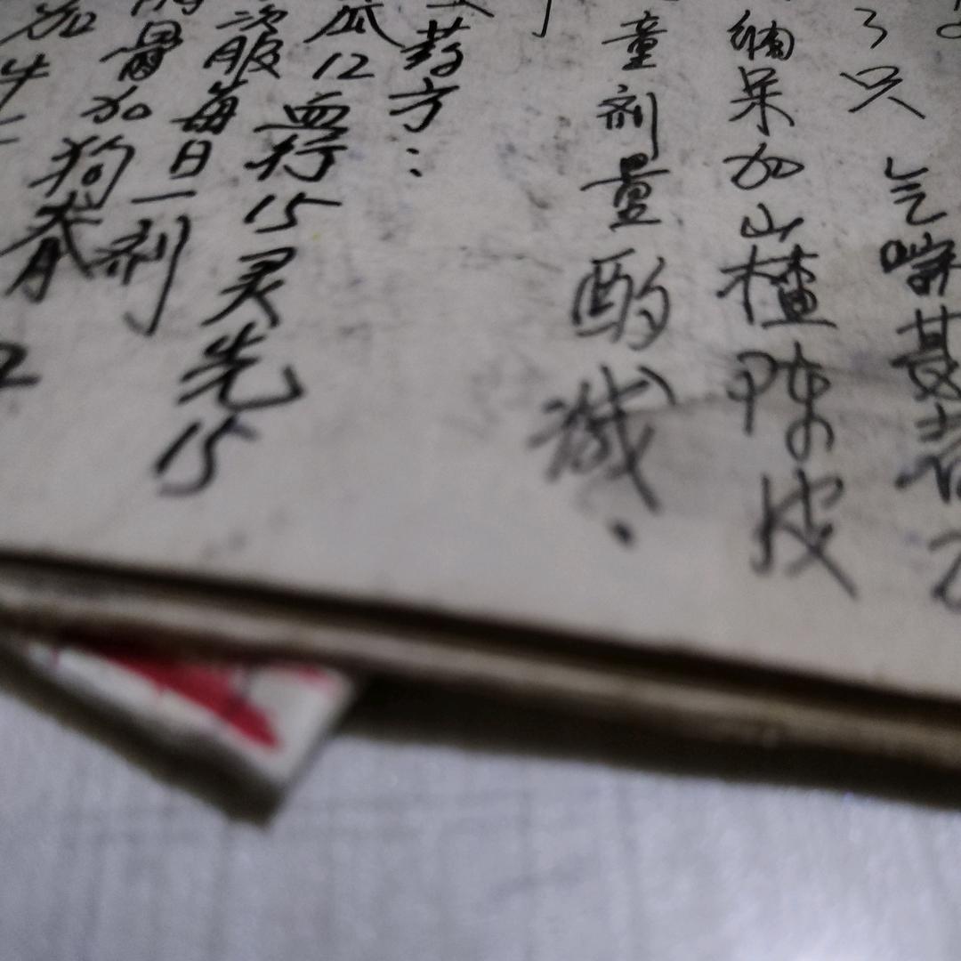 南燕