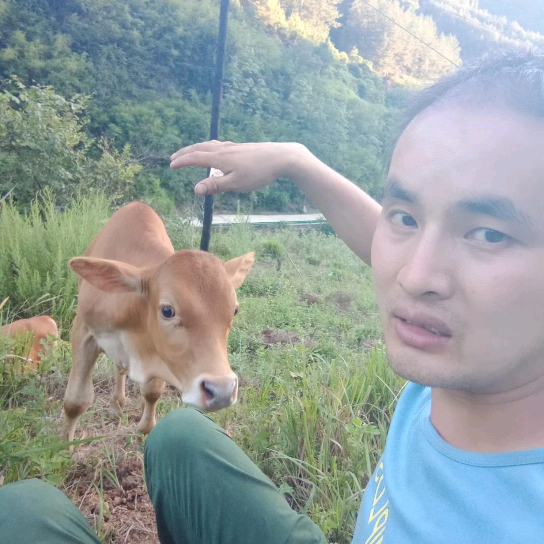 大山哥
