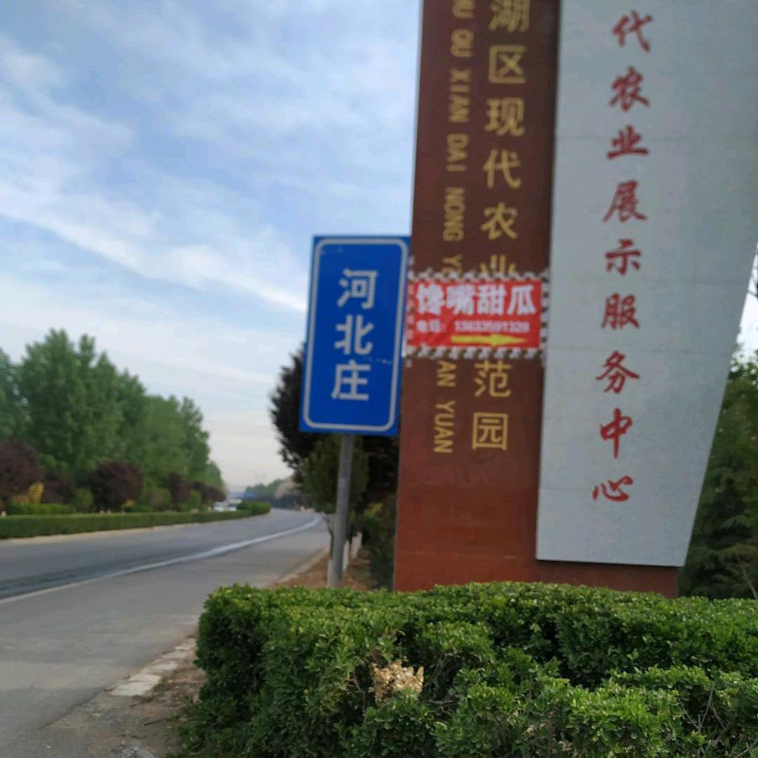 馋嘴甜瓜基地