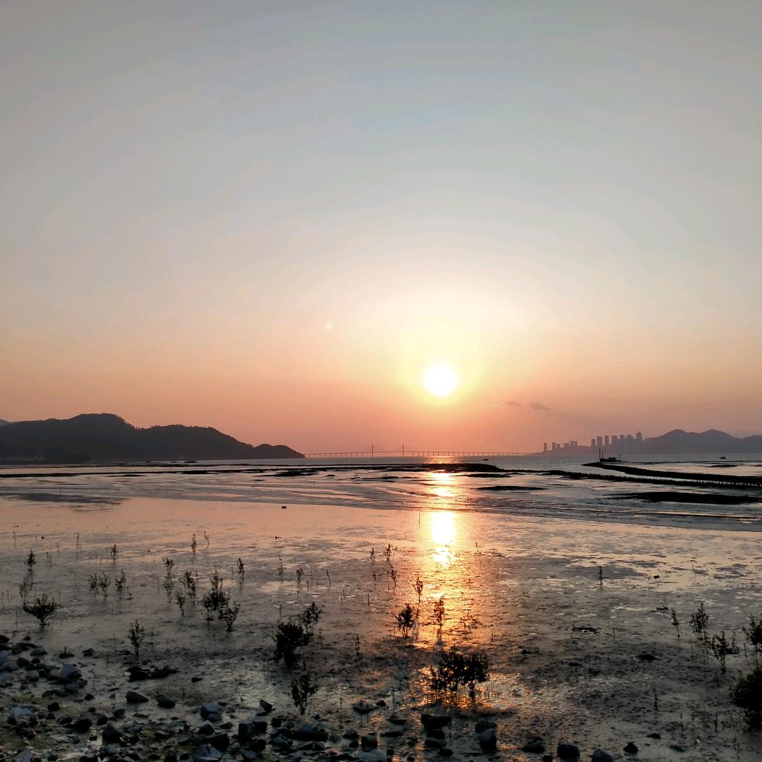 阿飞