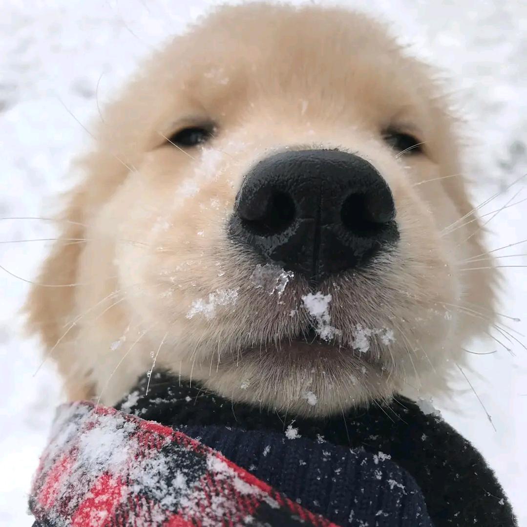 강이💕