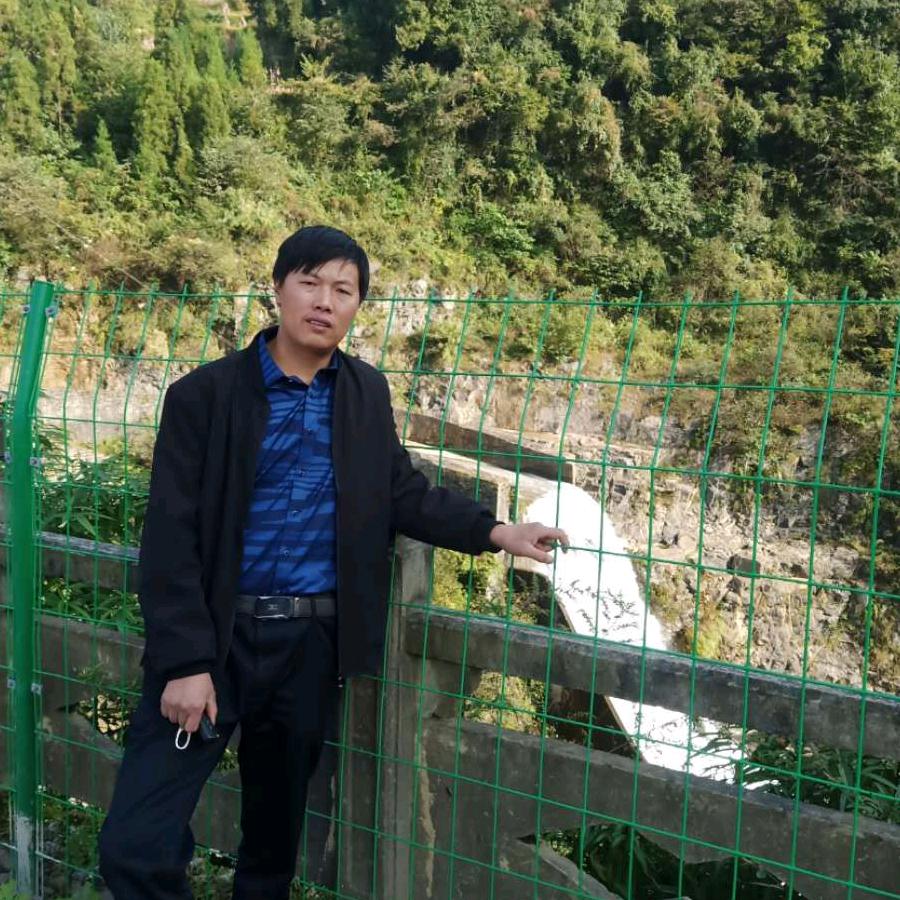 杨波