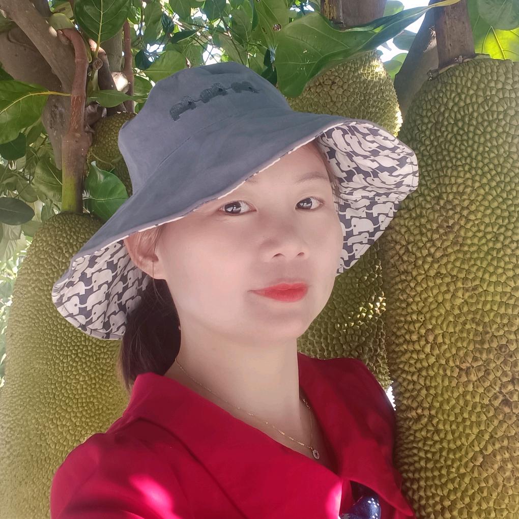 快乐米虫（王知夏）