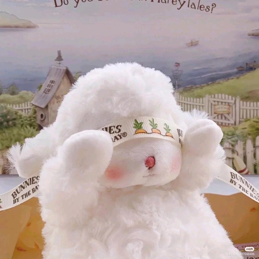 心❤️语