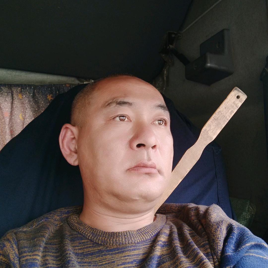 猛虫过江