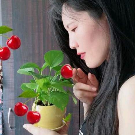 美业小郭
