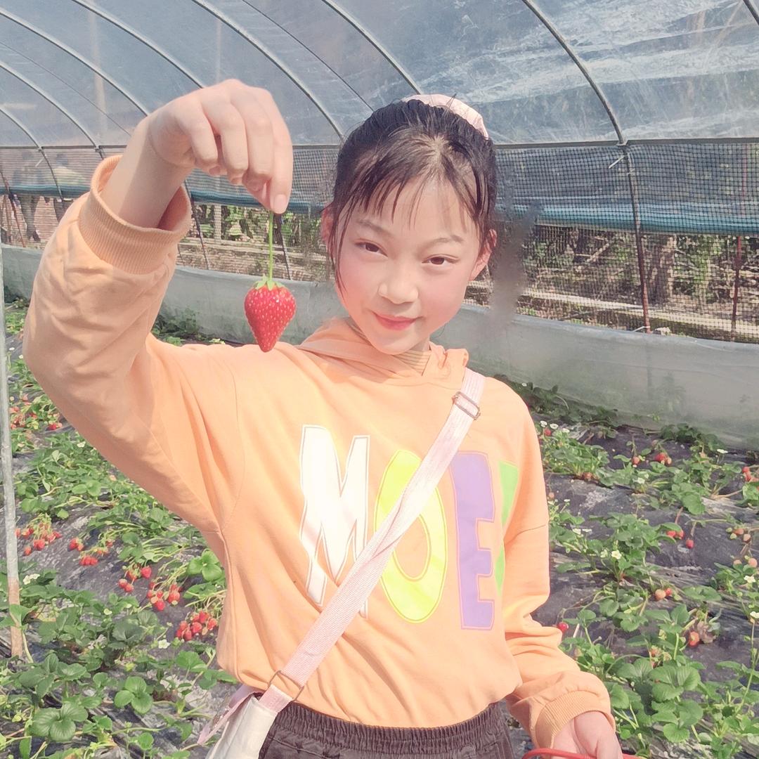 锦屏翰林世家🌻🌻杨凯屏