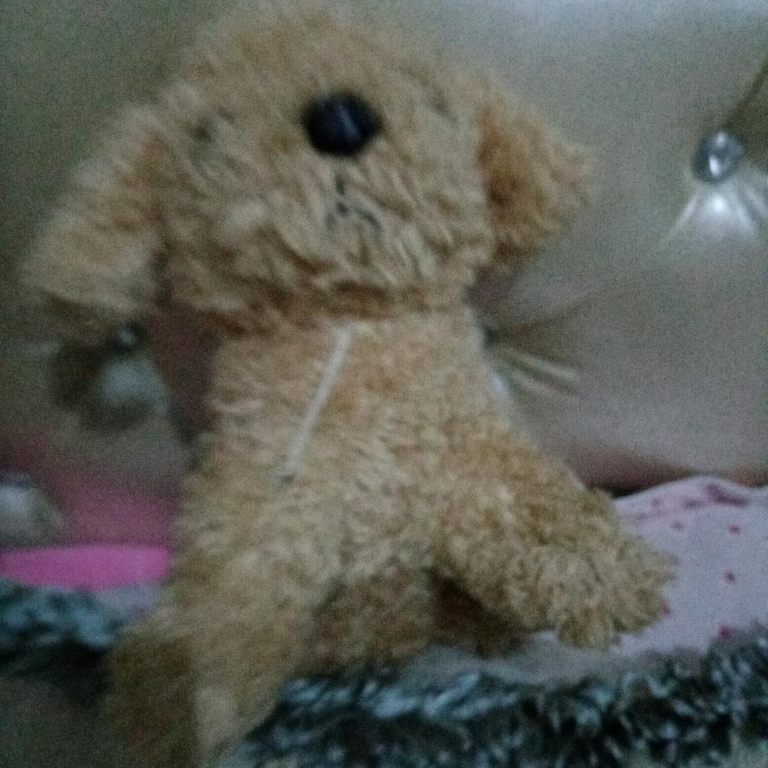 用户72584429彩民在线