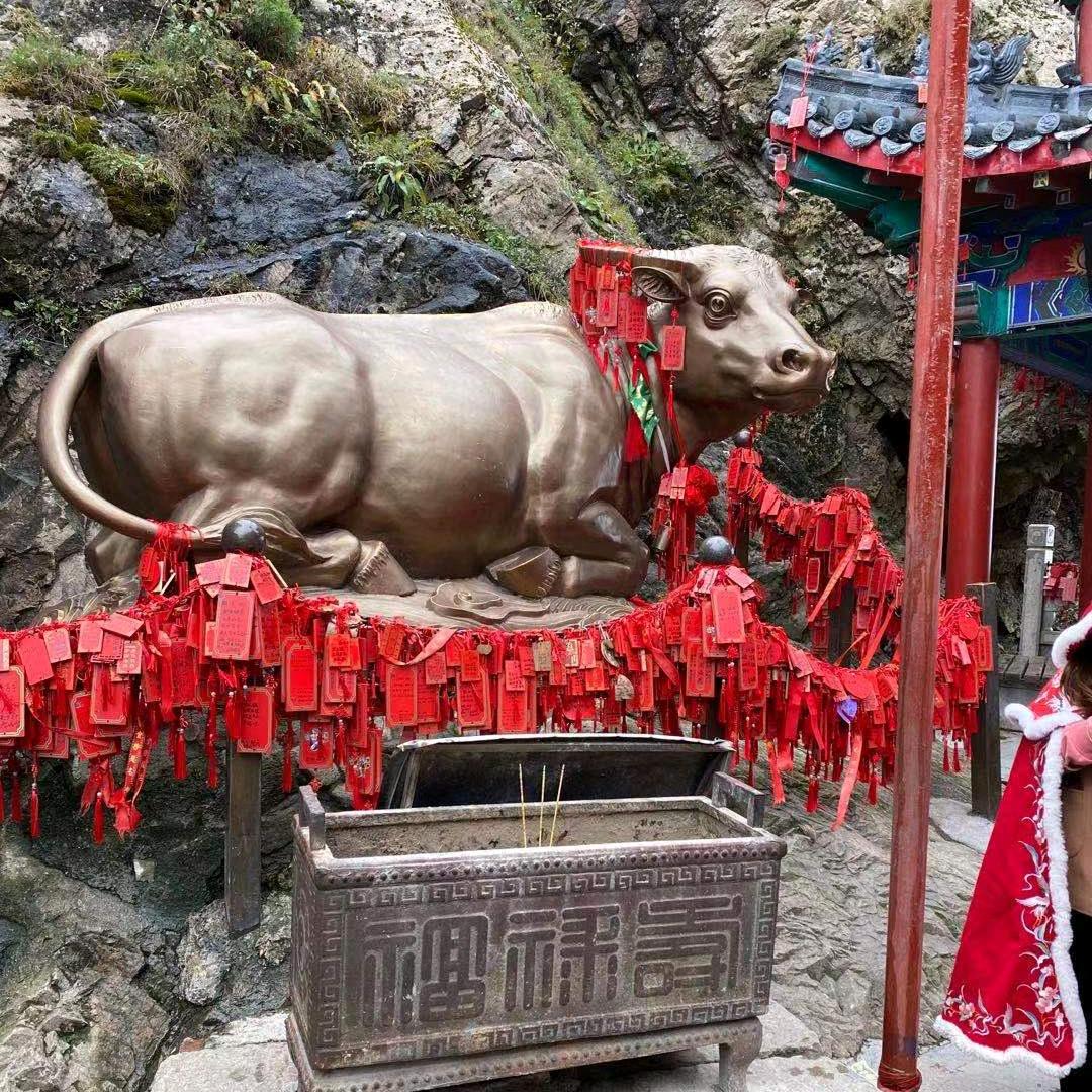 沈丘申哥