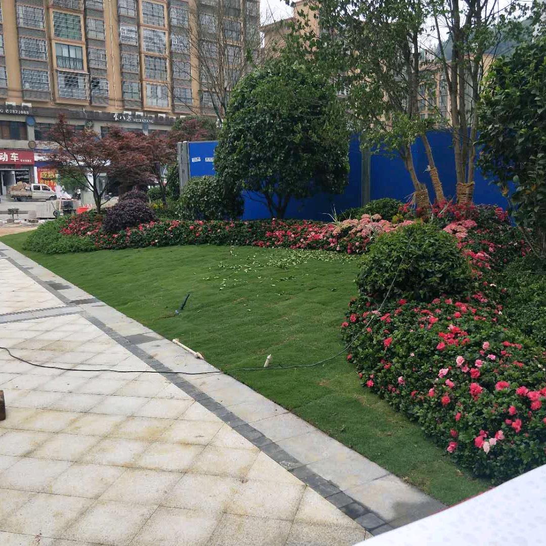浩林景观园林