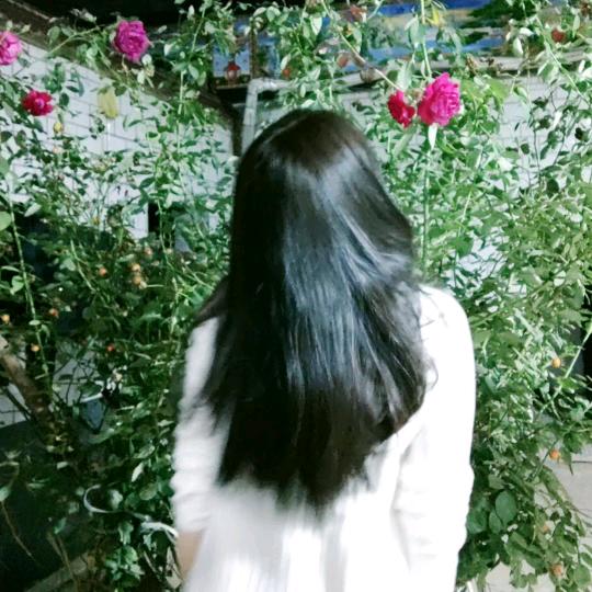 十十十圆