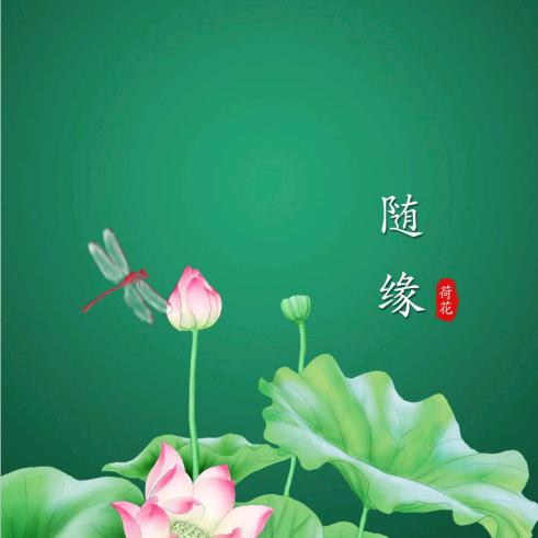 孙华芹