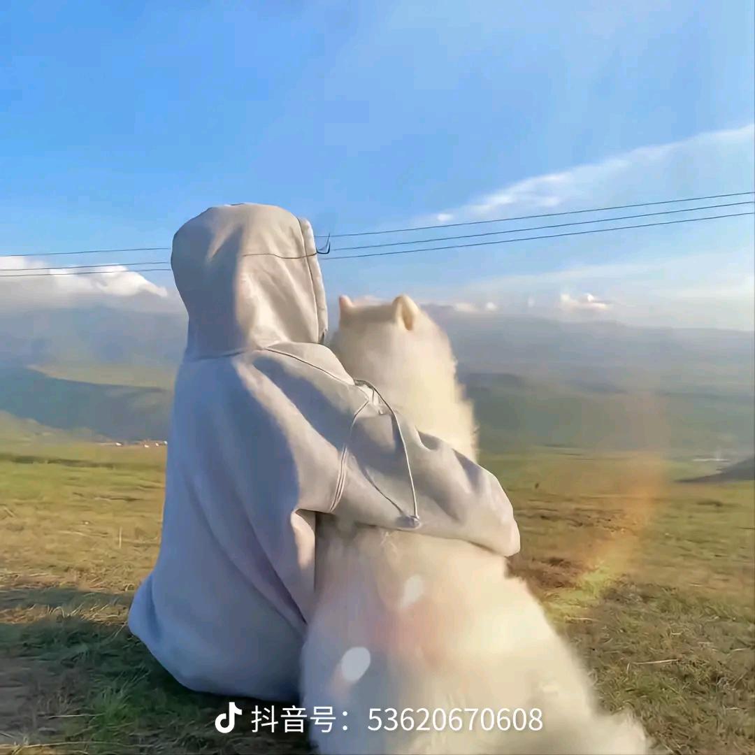 吖迪