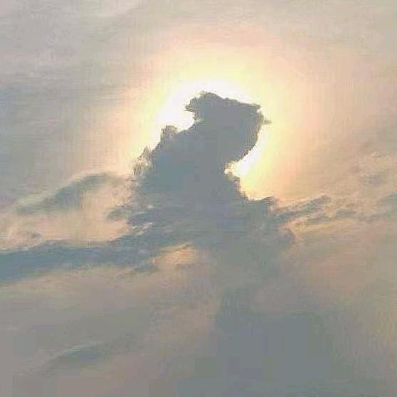 一统江山武媚娘