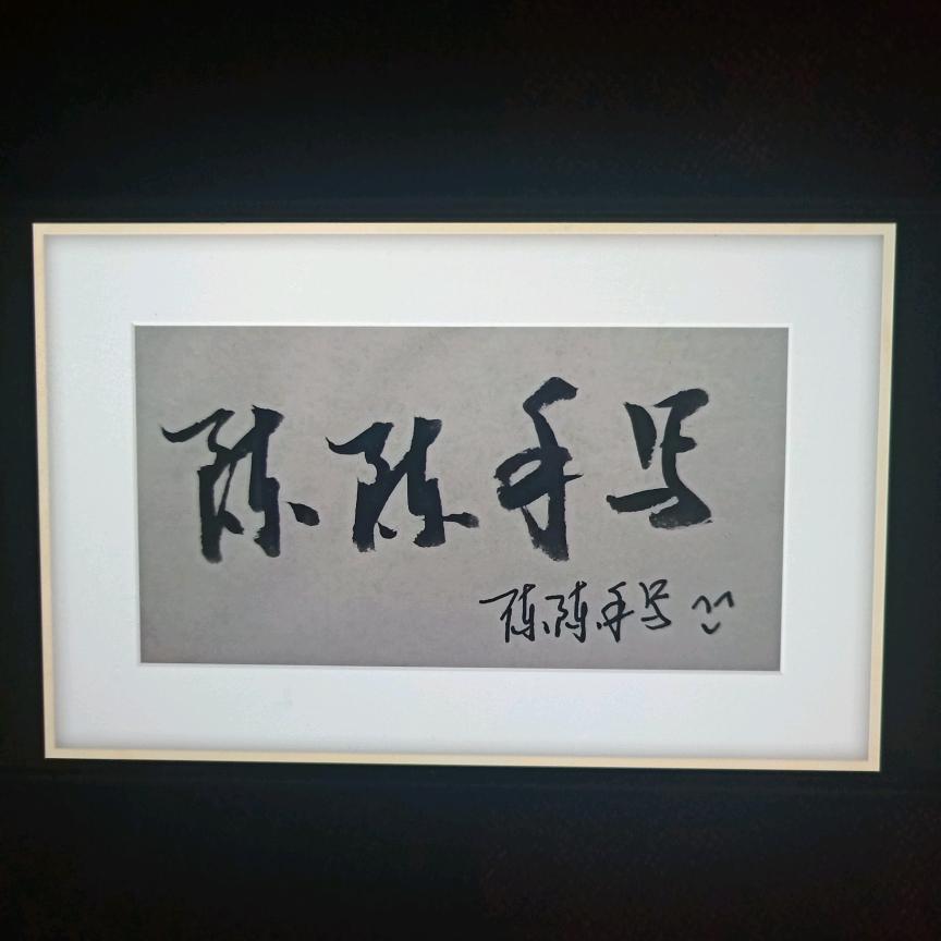 陈陈手写