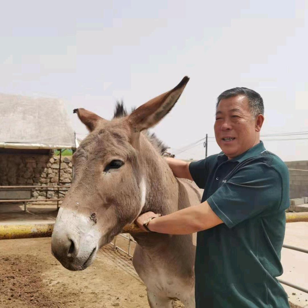 小黑驴农场