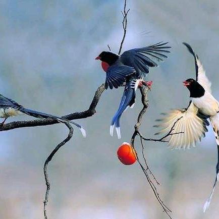 东莞粤欣精密五金有限公司