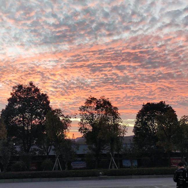 🌈大锤捶你胸口