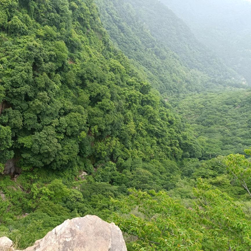 走走停停的时光