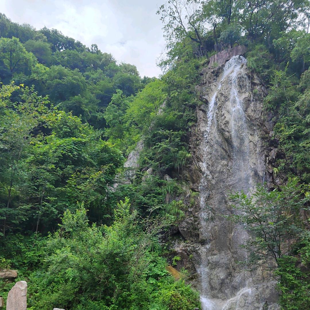 毛毛