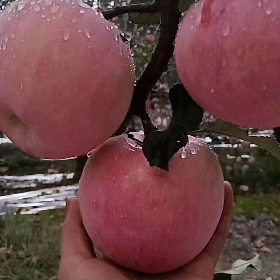 已重置