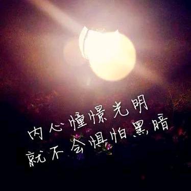 道小金！