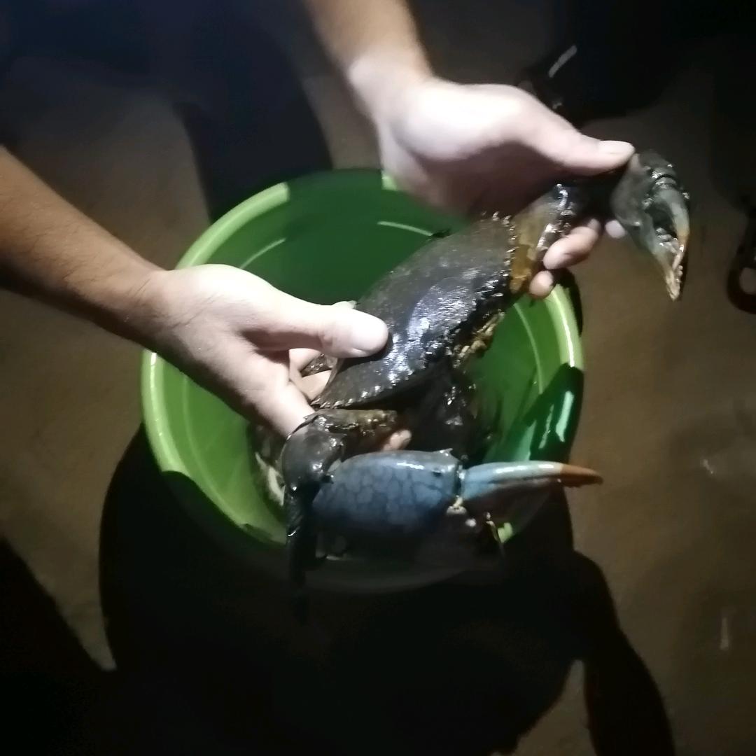 一句爸爸一辈子责任
