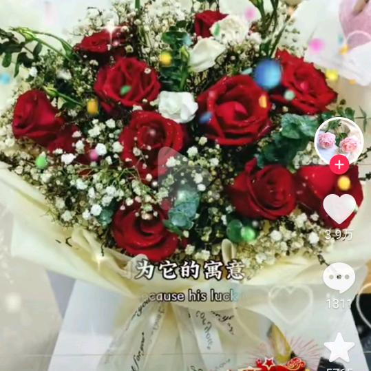 李琴