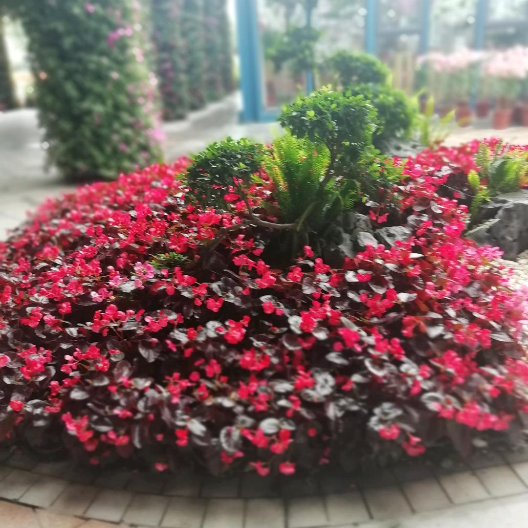 唐糖（拒绝私聊）