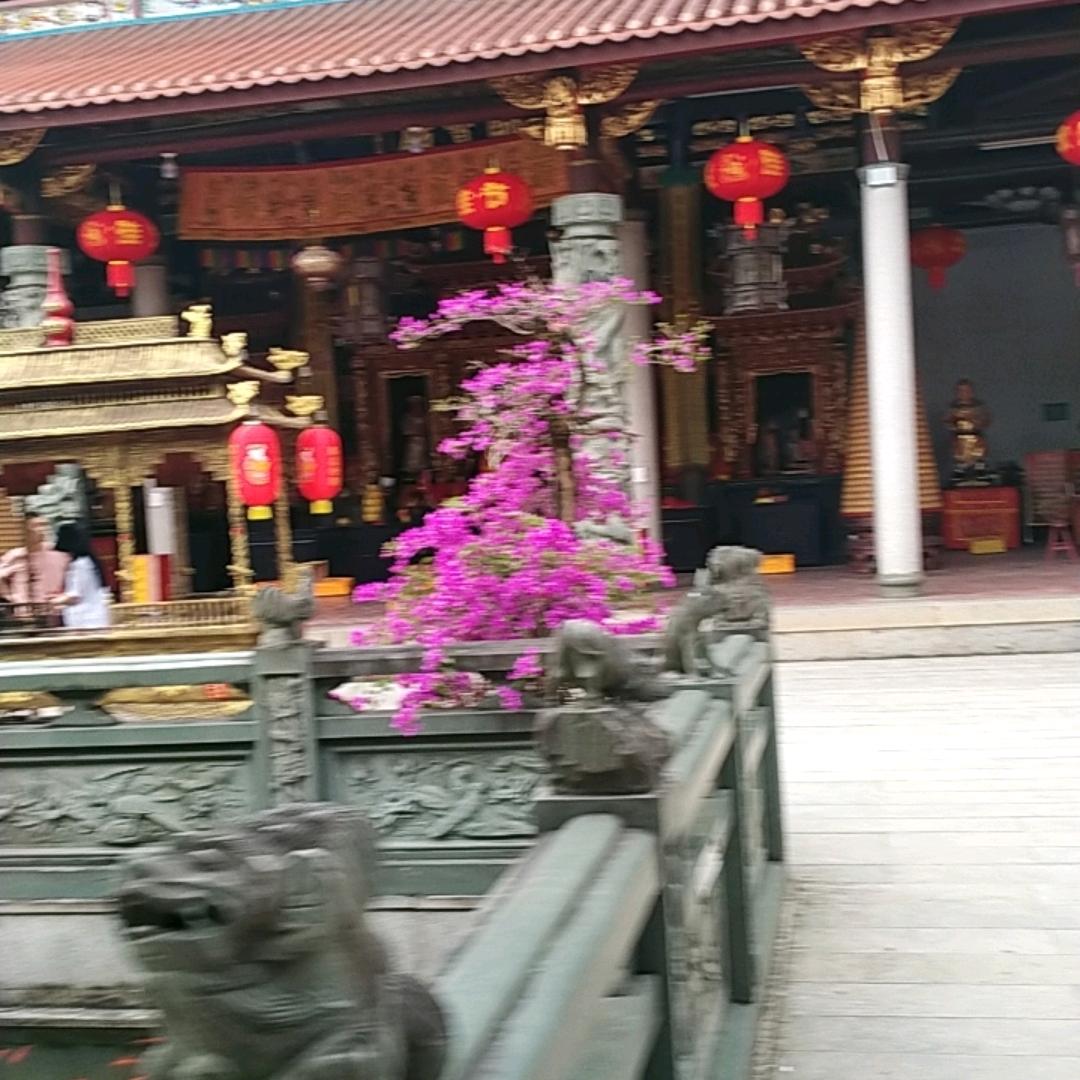 同事