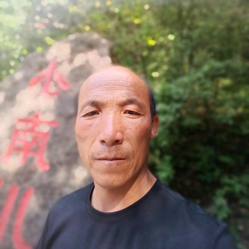 桃李满天下     好