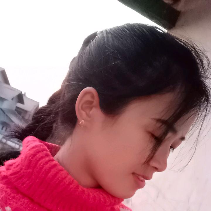 眼红的小松鼠
