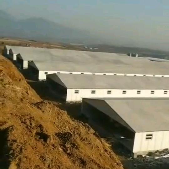 格润爱思保温板厂 全国承建保温养殖大棚